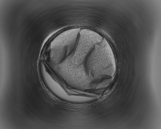 X0000082990928200703020841