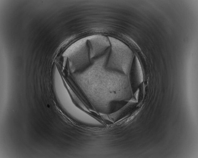 X0000082990930200703020841