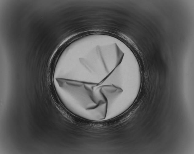 X0000082990931200703020841