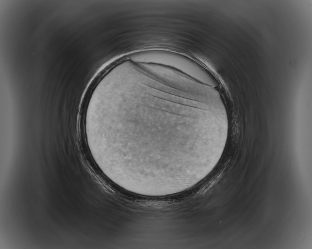 X0000082990932200703020841