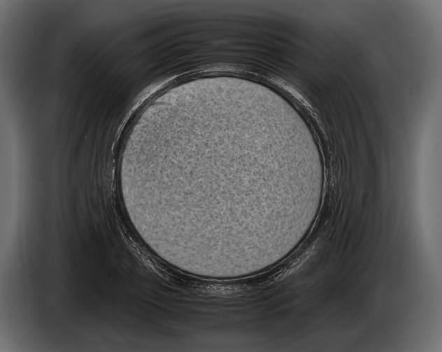 X0000082990933200703020841