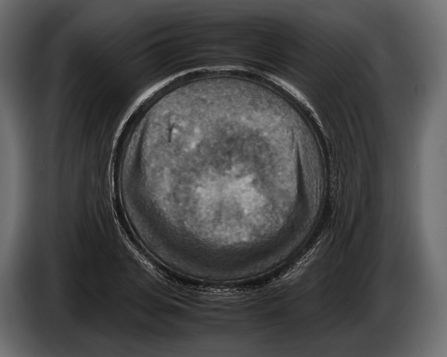 X0000082990935200703020841