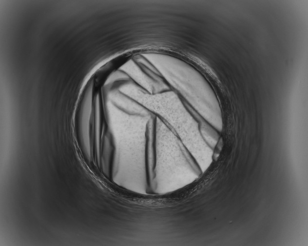 X0000082990936200703020841