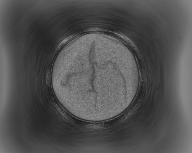 X0000082990937200703020841