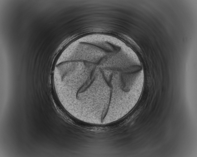 X0000082990938200703020841