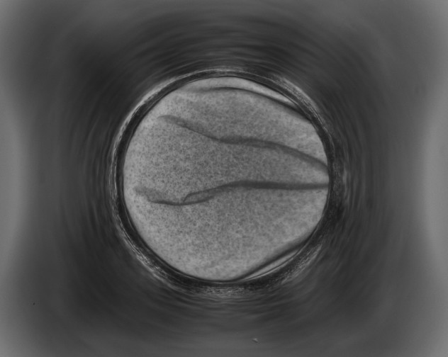 X0000082990939200703020841