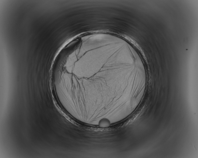 X0000082990941200703020841