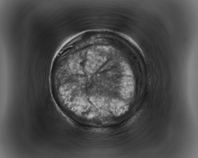 X0000082990943200703020841