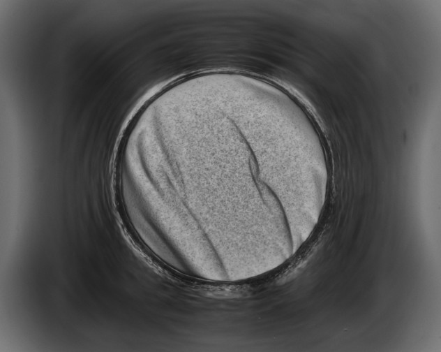 X0000082990949200703020841