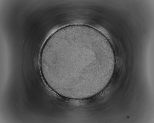 X0000082990950200703020841