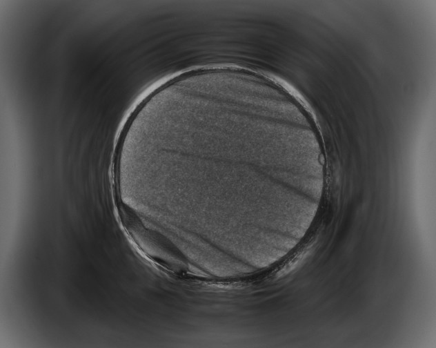 X0000082990951200703020841