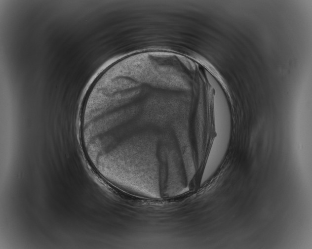 X0000082990955200703020842