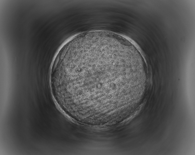 X0000082990957200703020842