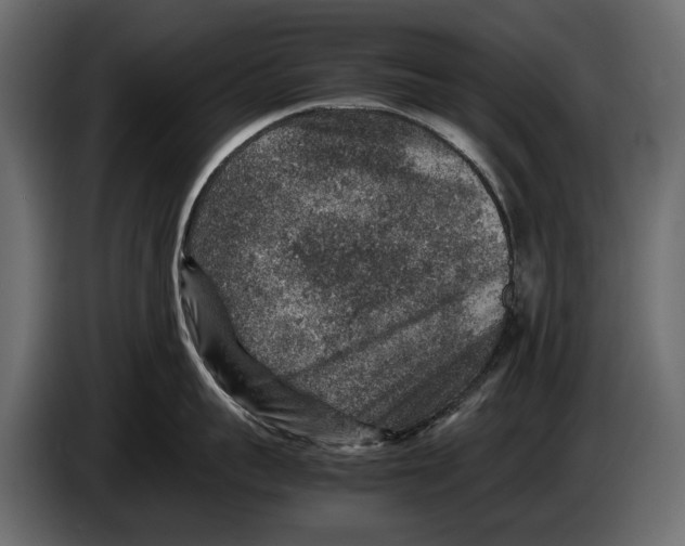 X0000082990959200703020842