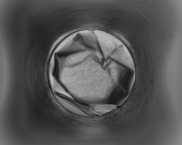 X0000082990960200703020842