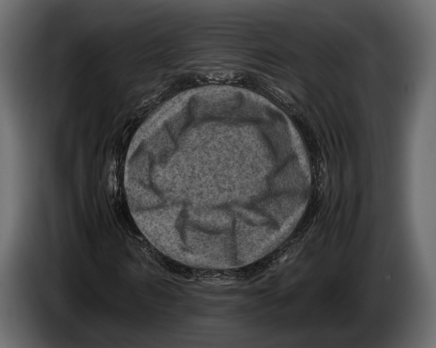 X0000082990962200703020841