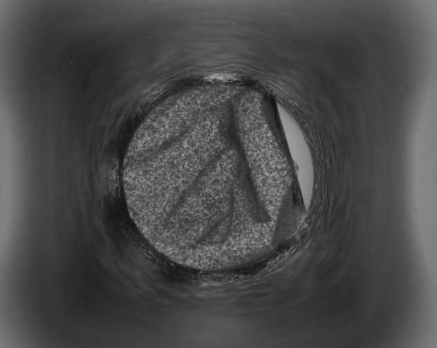 X0000082990963200703020841