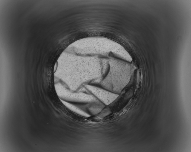 X0000082990964200703020841