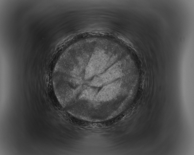 X0000082990966200703020841