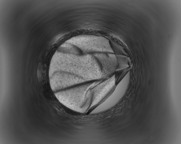 X0000082990968200703020841