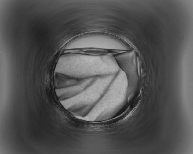 X0000082990969200703020841