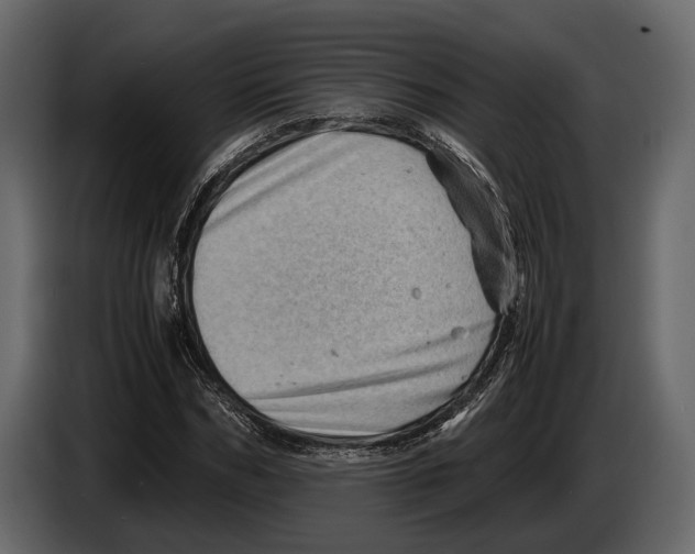 X0000082990970200703020841