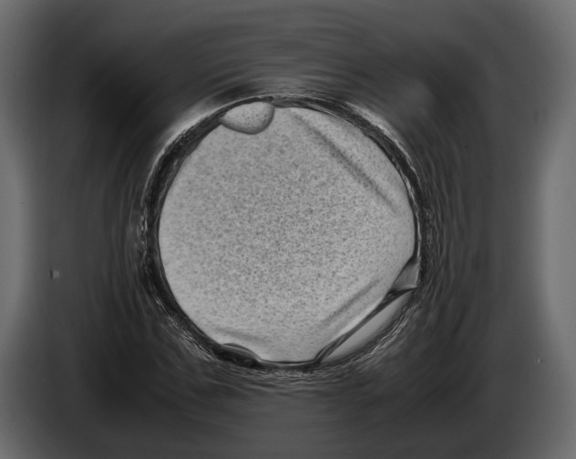 X0000082990971200703020841