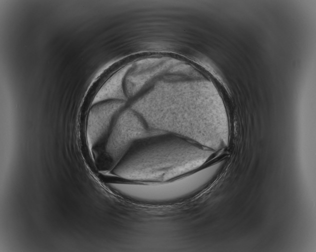 X0000082990972200703020841