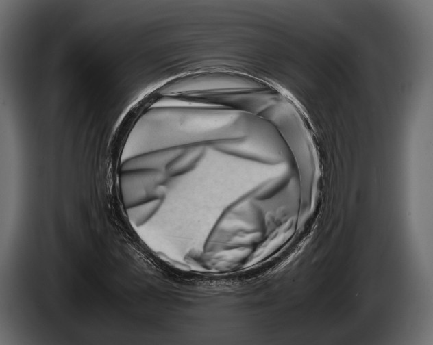 X0000082990973200703020841