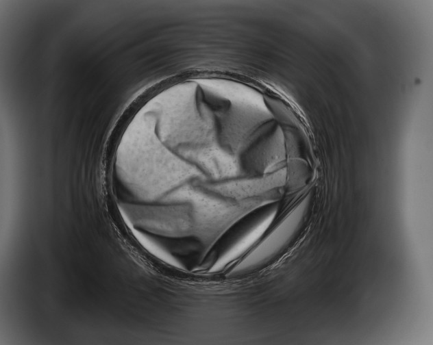 X0000082990976200703020841