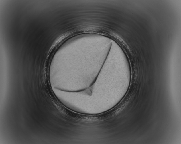 X0000082990978200703020841