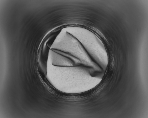 X0000082990980200703020841