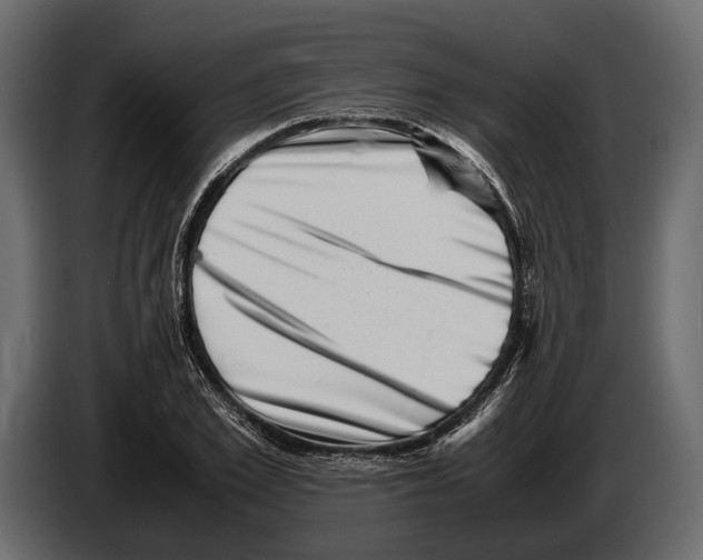 X0000082990981200703020841