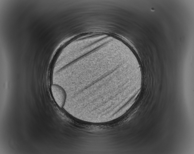 X0000082990987200703020841