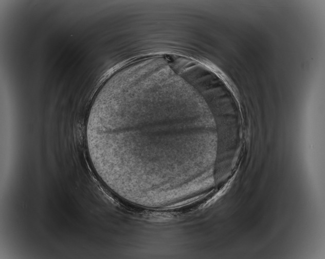 X0000082990993200703020841