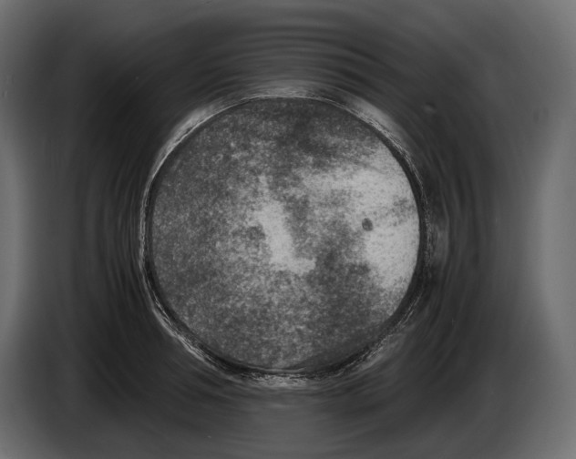 X0000082990994200703020841