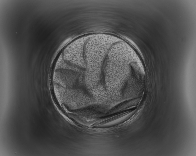 X0000082990997200703020841