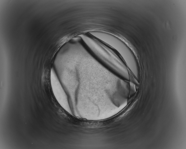 X0000082991001200703020840