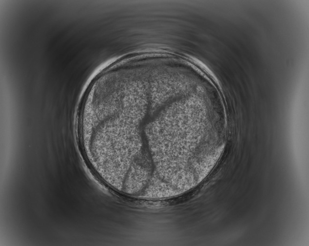 X0000082991003200703020840