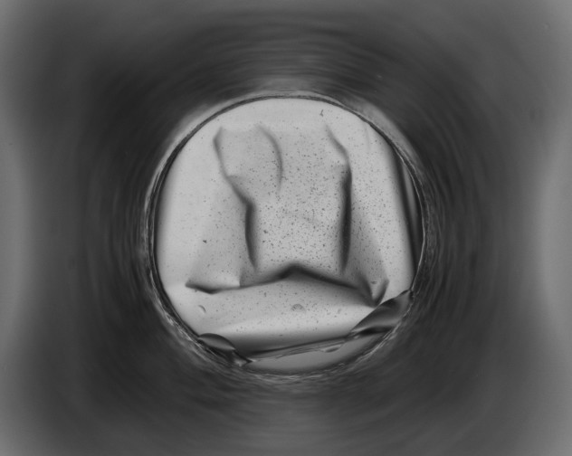 X0000082991004200703020840