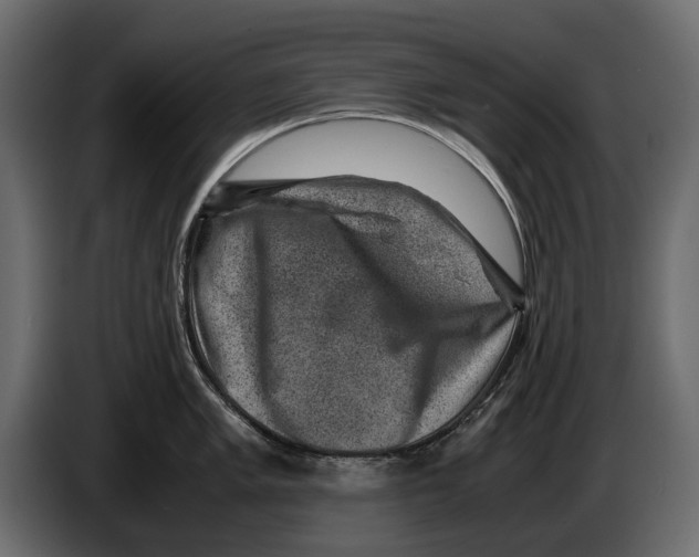 X0000082991005200703020840