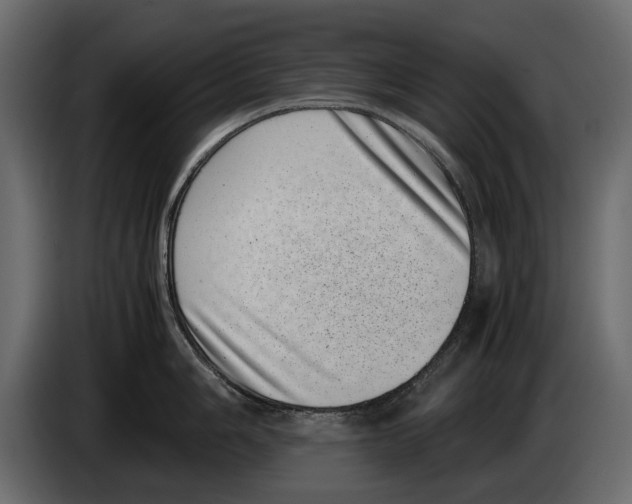 X0000082991006200703020840