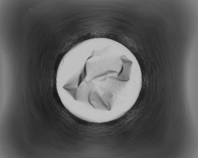 X0000082991012200703020840