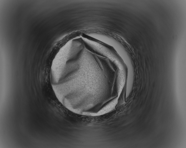 X0000082991016200703020840