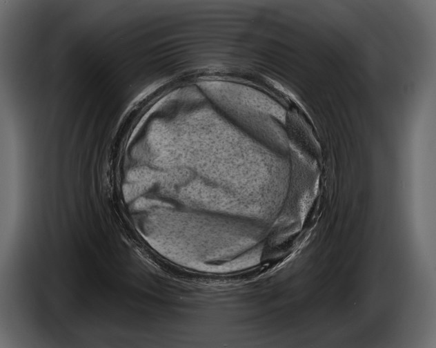 X0000082991018200703020840