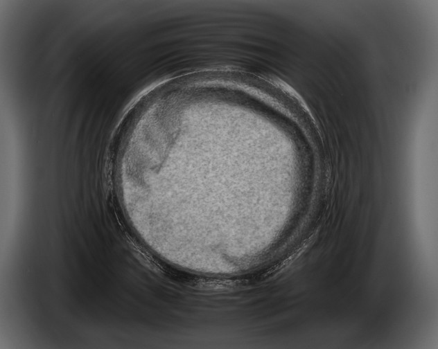 X0000082991019200703020840