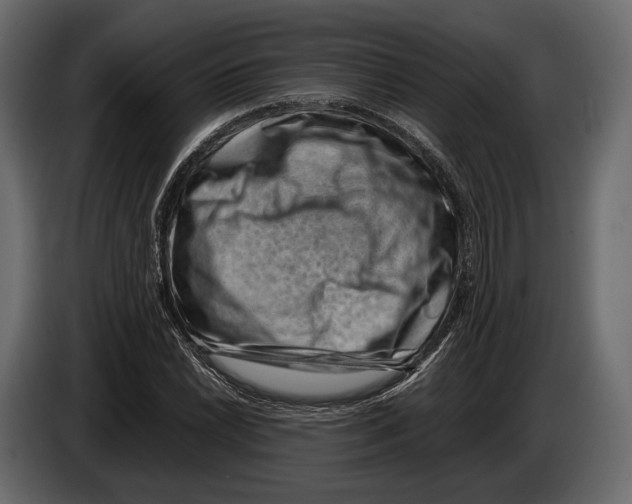 X0000082991022200703020840