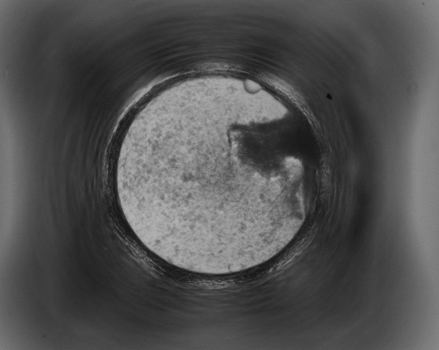 X0000082991023200703020840