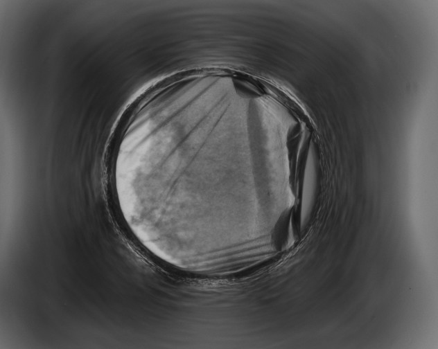 X0000082991024200703020840