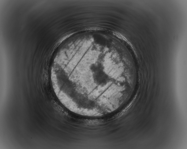 X0000082991025200703020840